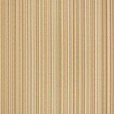 MOMENTUM - Grade 5 Vinyls
