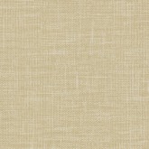 MOMENTUM - Grade 5 Vinyls