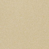 MOMENTUM - Grade 5 Vinyls